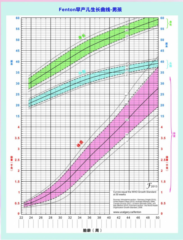 胎儿生长百分位对照表图片