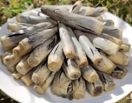 黑黑的看着恶心,过去砍掉丢弃,现在1斤卖48元|高粱|乌苠|玉米|甘蔗
