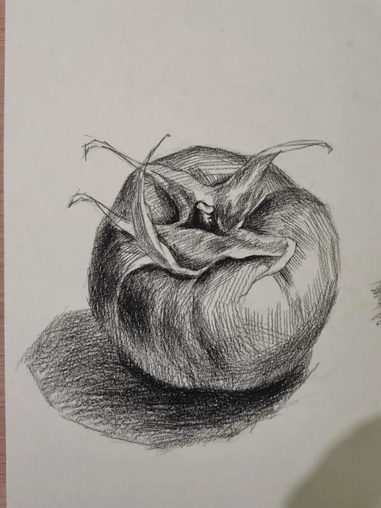 素描西红柿_腾讯新闻