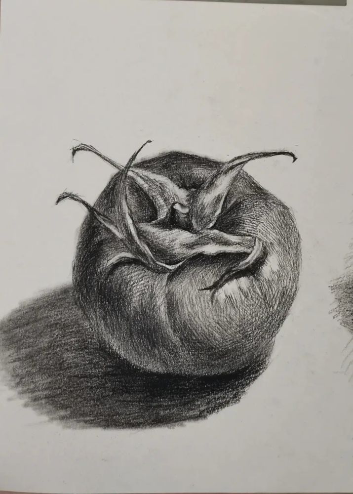 素描西红柿_腾讯新闻