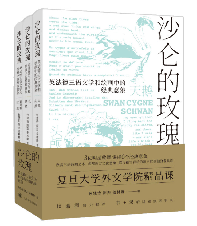 在德国浪漫派诗歌中聆听"海德堡的林中琴音"|【沙仑的玫瑰·三城记】