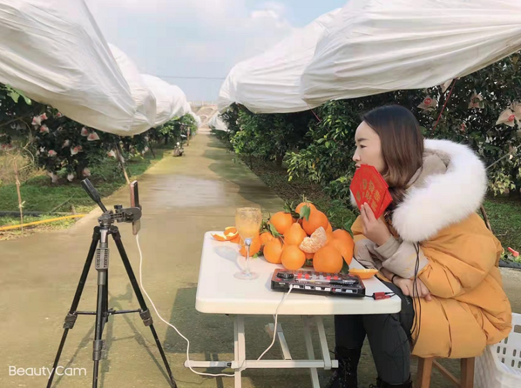 果农直播卖柑橘 打开助农销售新渠道_腾讯新闻