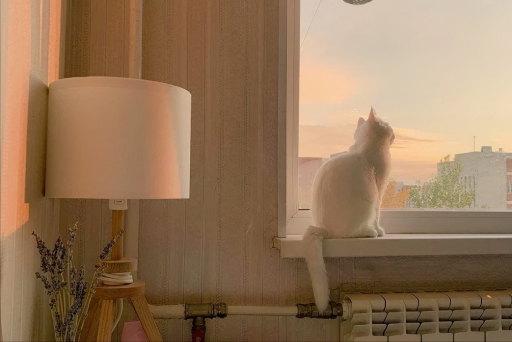 喜欢表现自己 却不懂审时度势的星座 情商低 共情能力差 腾讯新闻