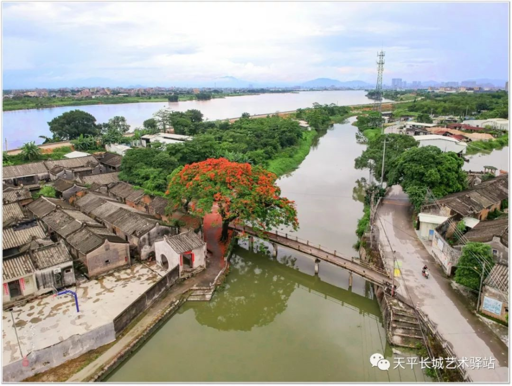 揭阳砲台镇浮岗新乡 揭阳砲台镇下潮郭厝 揭阳砲台镇桃山乡