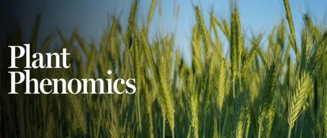 plantphenomics小麦植物表型组学文章合集