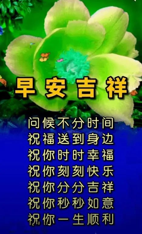 11月19日冬天天冷暖心的早安祝福問候語句,微信早上好漂亮的文字祝福