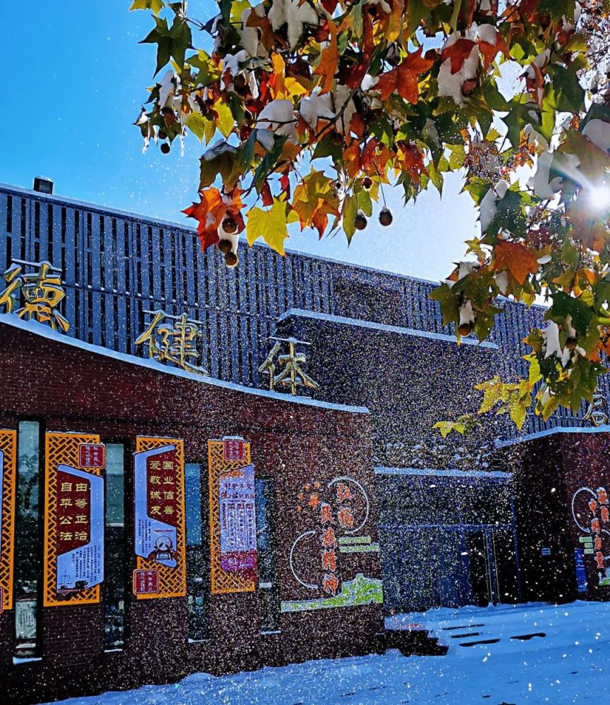 最美冬季校园!看看你最喜欢哪一张_腾讯新闻