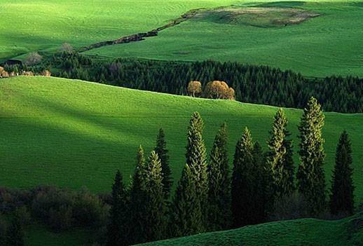 学法指导微专题林线