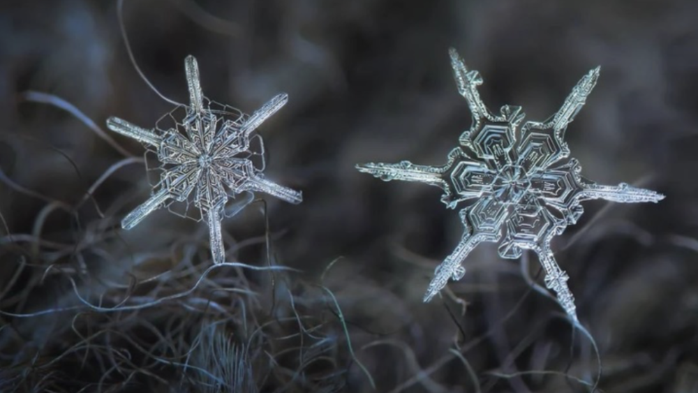 這個世界上有兩片一樣的雪花嗎