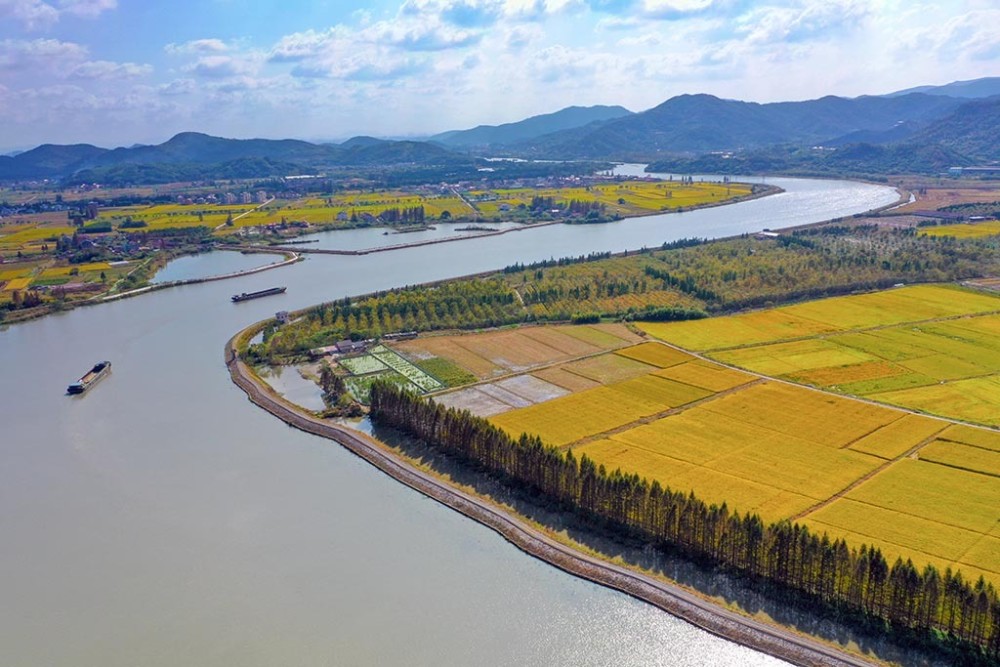 姚江两岸瞰金畴