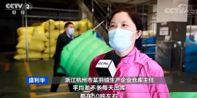 羽绒服销量排行榜_羽绒服销量暴增!客流量翻番、销售价格普遍提升,有店铺一天卖90万...