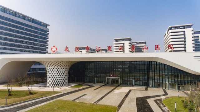 "永久版"雷神山医院长这样