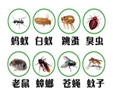 国有林场林业有害生物及病虫害的常见类型