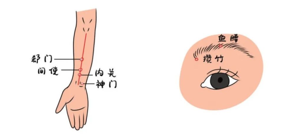 鱼腰位置图片