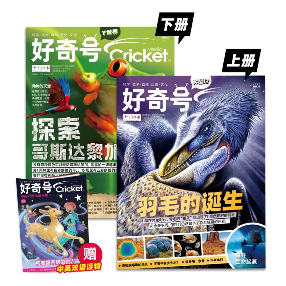 2022寒假儿童科普读物好奇号补足了国内孩子最缺的通识教育