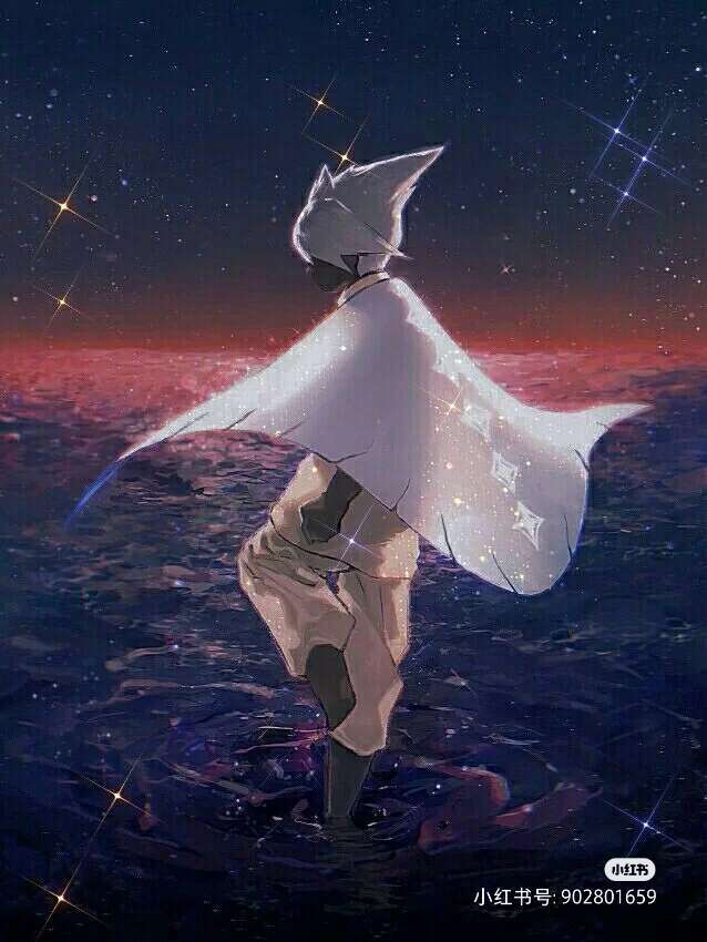 光遇壁纸总要允许有人错过你才能赶上最好的相遇