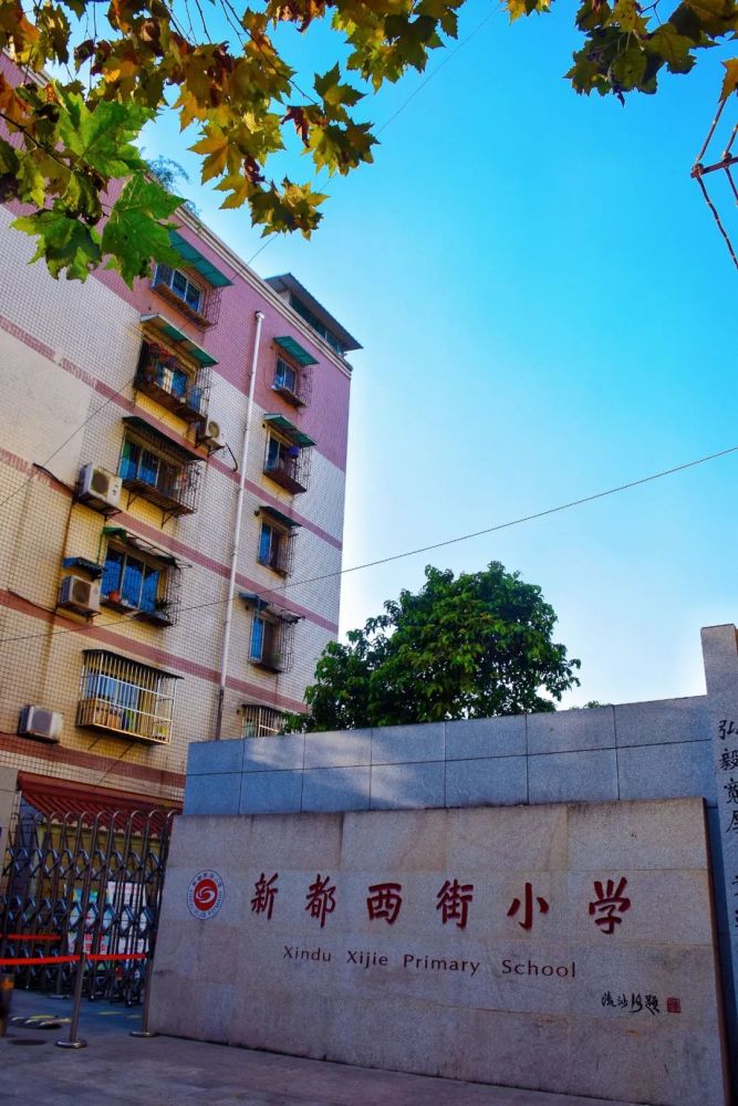 看完这条街道,我更爱新都了!