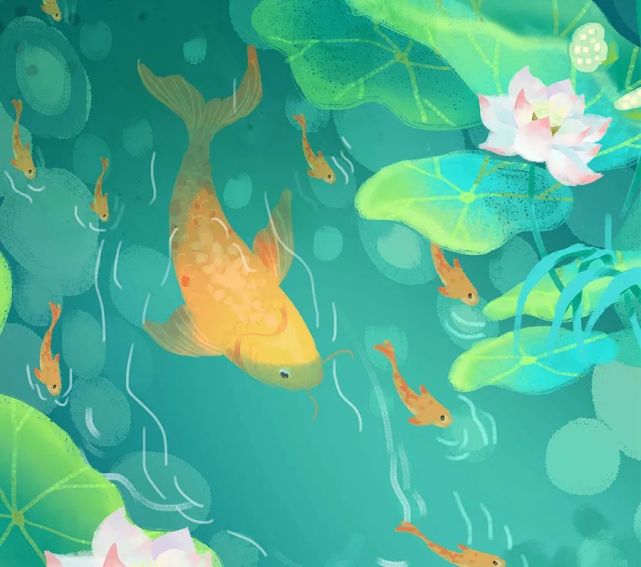 我叫鲤鱼,原产于亚洲,据说早在公元前12世纪就有我的身影了.