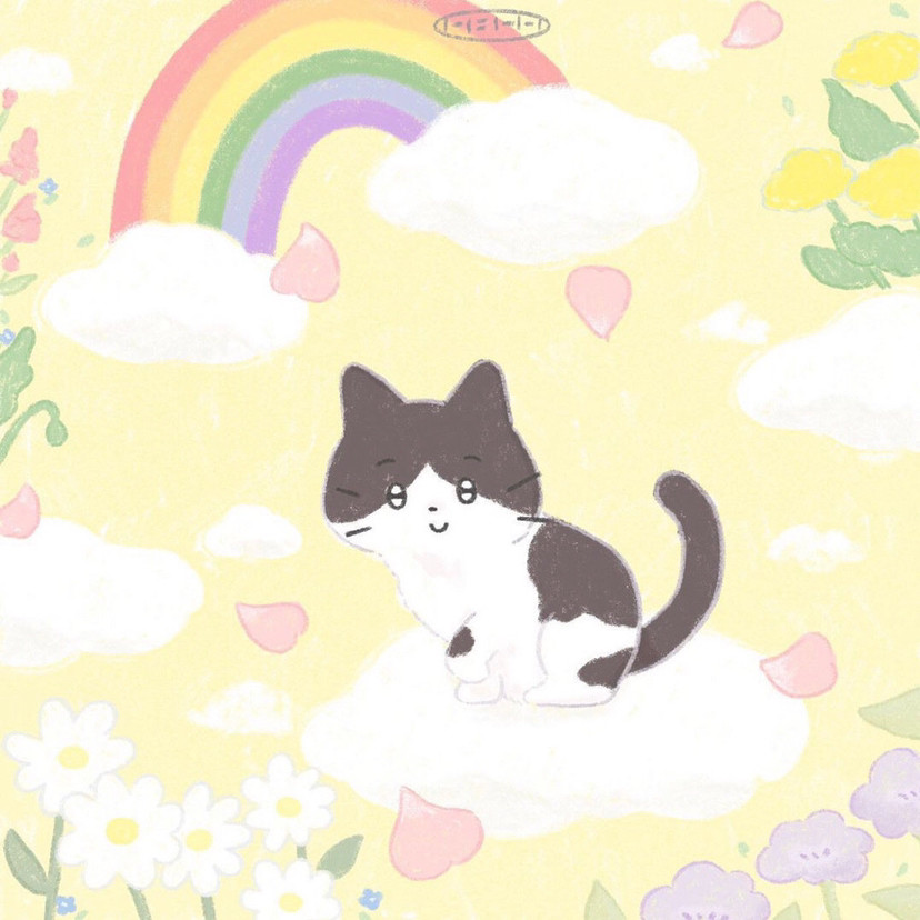 可爱小猫头像·背景图