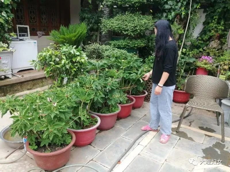 點贊|雲南省綠色家庭段慶祥家庭:和諧共生是生命健康和社會持續發展的