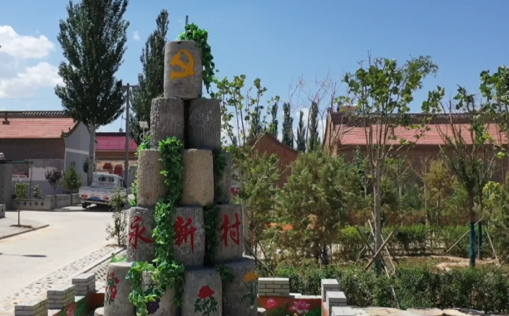 【认真学习宣传贯彻党的十九届六中全会精神】吴忠市红寺堡区党员干部