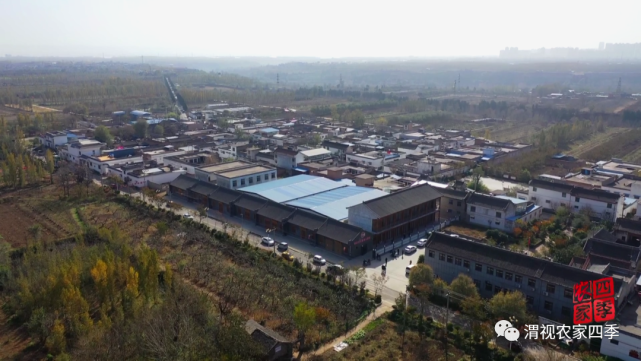 韩城市西庄镇:发展特色产业 拓宽增收门路