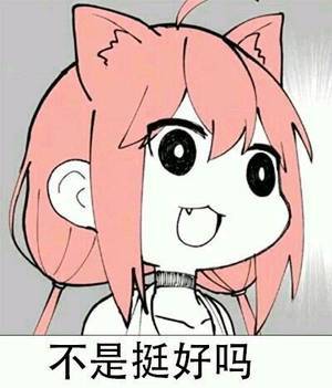 猫宫日向表情包