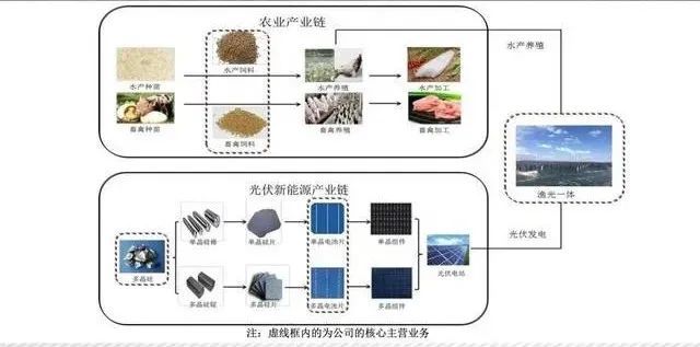 养鱼致富经_养鱼致富经_养鱼致富经