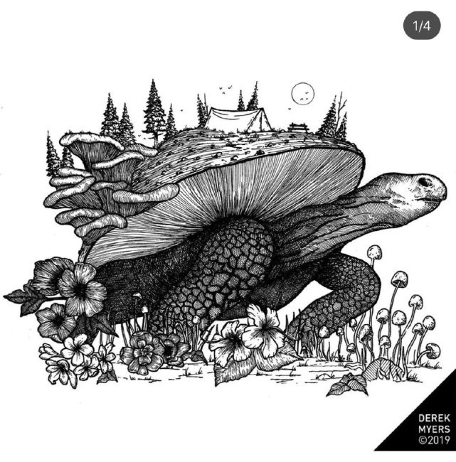 一组针管笔黑白手绘蘑菇插画