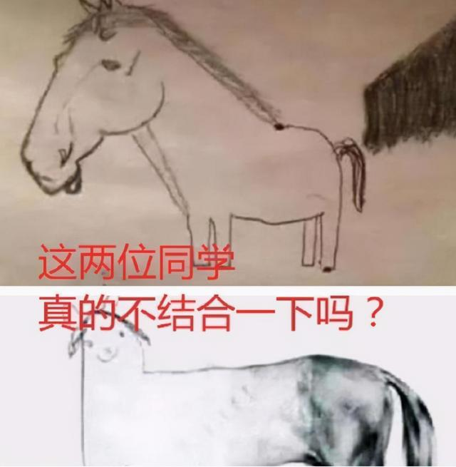 画马搞笑图图片