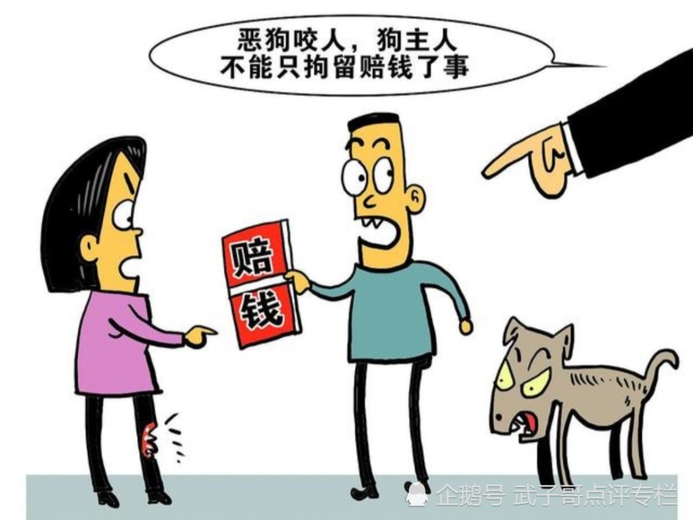 狗仗人势安阳恶狗咬人主人抵死不认逼哭帮忙女记者