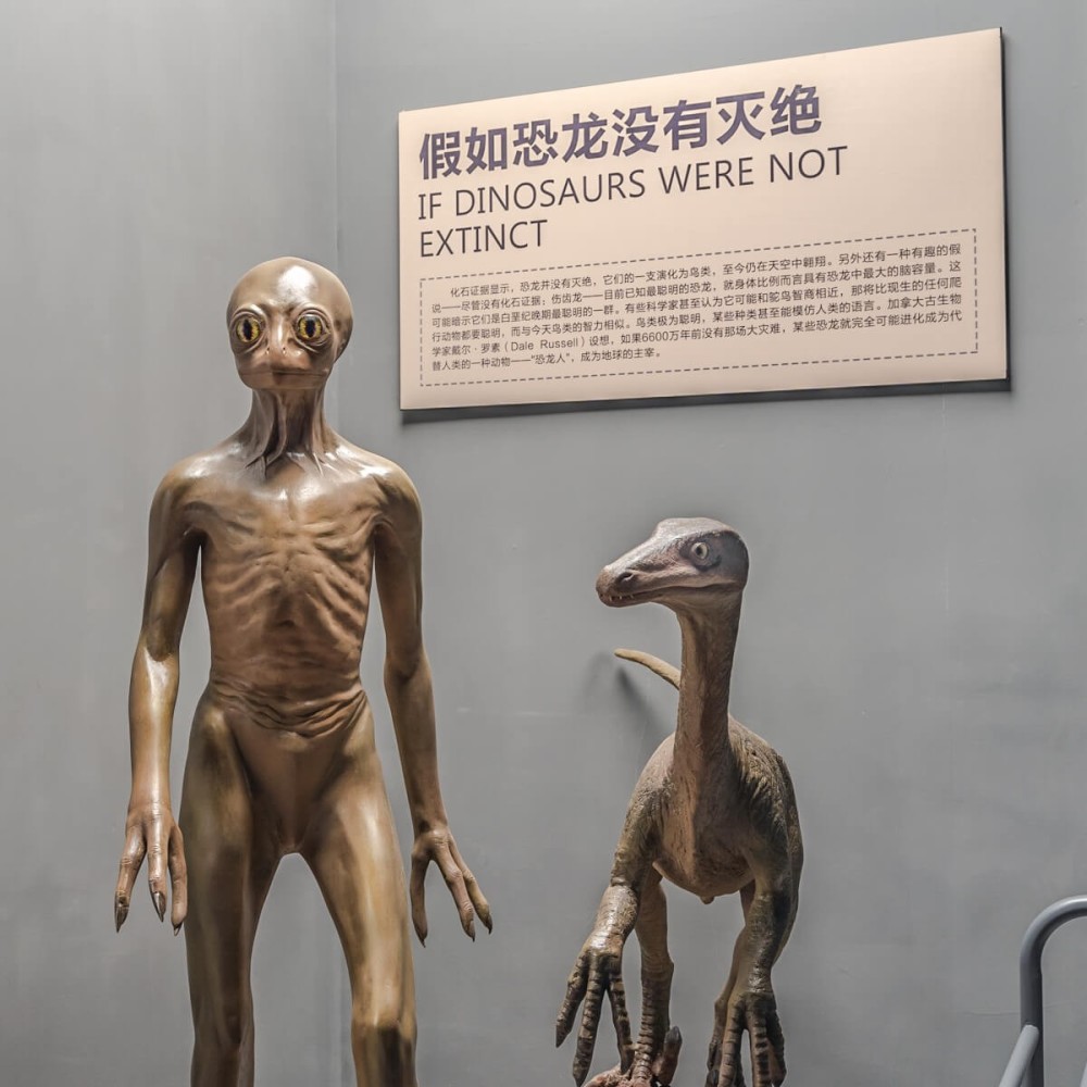 而在1960年,英国科学家又提出了海猿说.