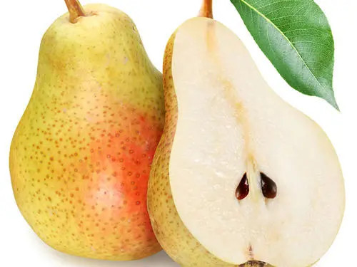 冬季的梨子最养人梨子是我国的传统水果,尤其是冬梨,脆甜爽口,物美