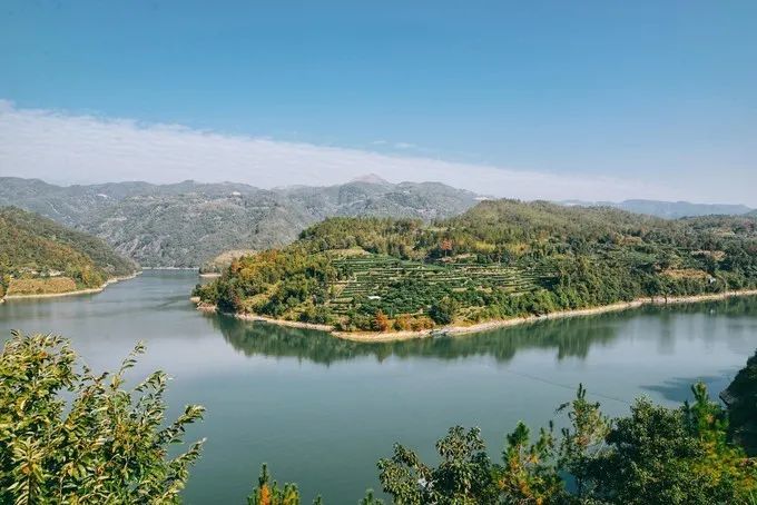 泰順飛雲湖水質是國家ii類飲用水標準,產自飛雲湖的野生魚口感鮮美