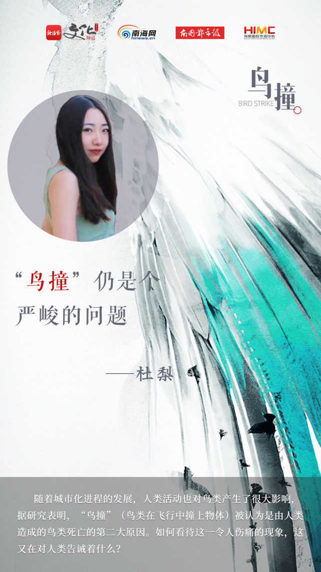 作家观察|杜梨:我救过雨燕,见证奇迹发生