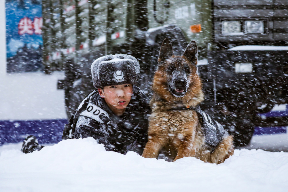的人员和车辆67民警与警犬在风雪中一起合影留念(ly来源:视觉中国)