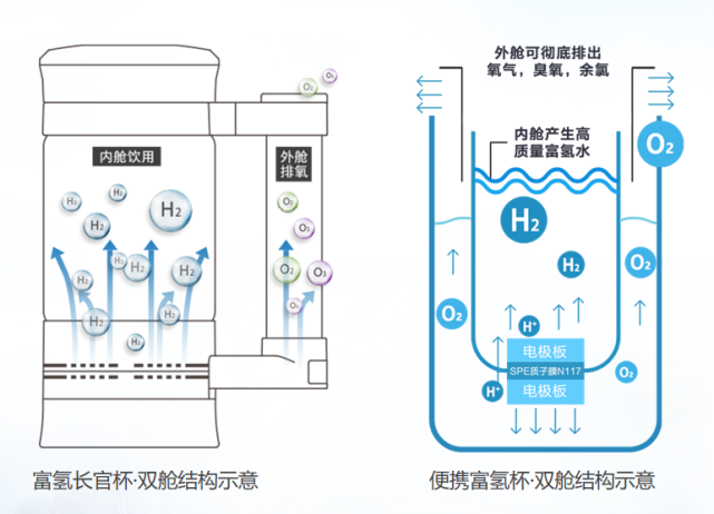 科力恩富氢杯,国货崛起!|科力恩|国货|水杯