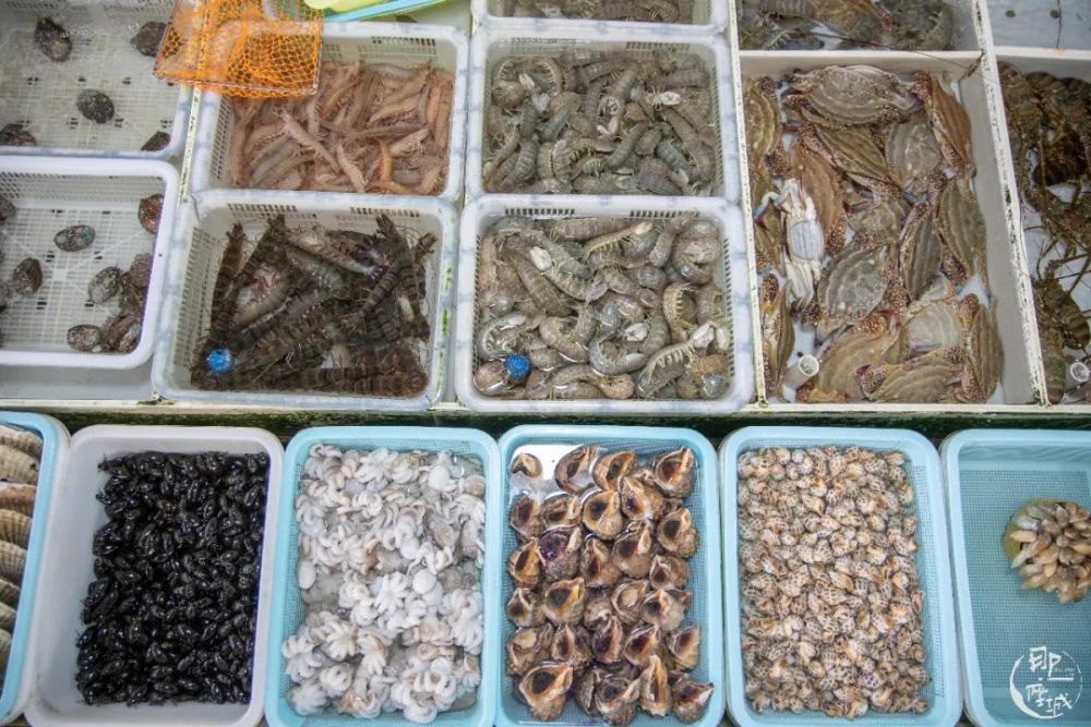 广州这里的海鲜,可否与潮汕一战?