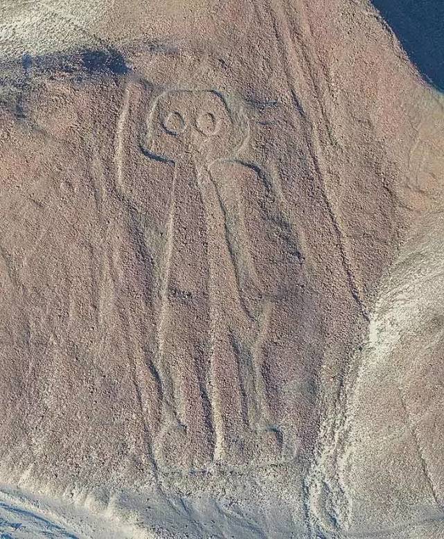 纳斯卡线条是否为外星人存在的痕迹为何会不断地发现全新图案