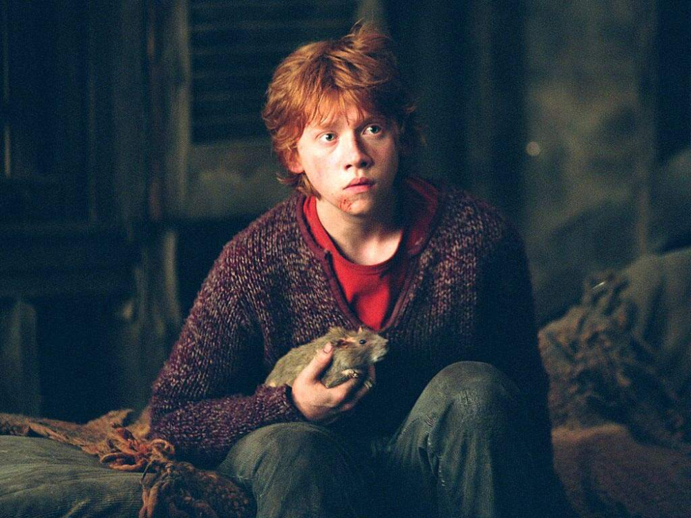 哈利波特罗恩与斑斑他们之间是否有真感情呢