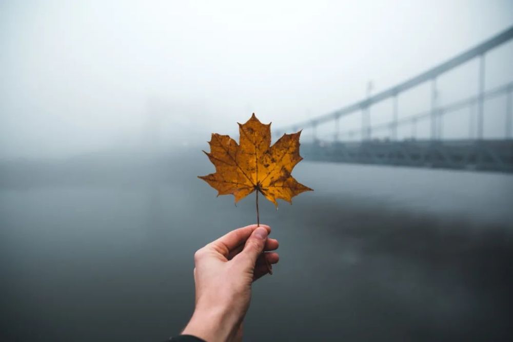 拍照技巧雨天圖片這樣拍太有意境了