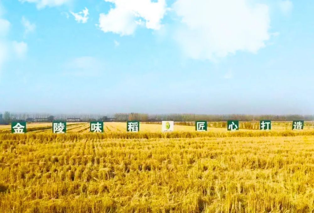 南京四大垃圾學(xué)院_南京某學(xué)院最近遭賊了_南京學(xué)院官網(wǎng)