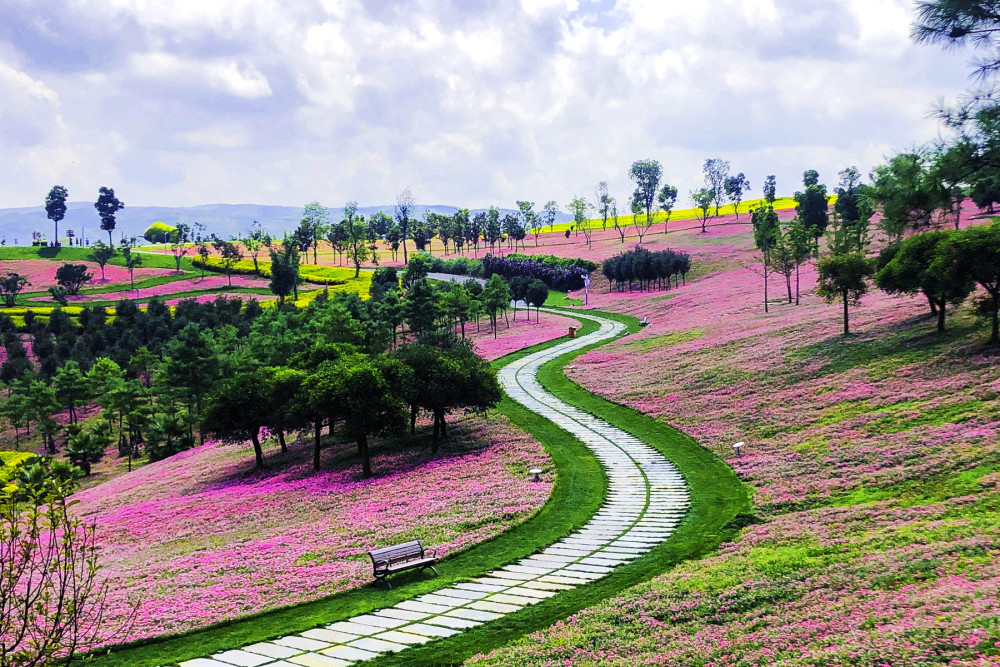 云南弥勒太平湖森林小镇被誉为昆明的后花园非常适合养老观光