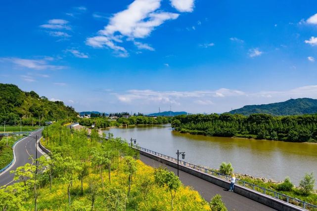 一路風景杭州這幾條公路自帶絕美景色自駕走起