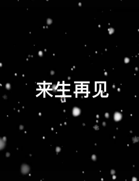 视频最后,王为念沉痛地喊话母亲,希望两人来生再见,再续母子情缘.