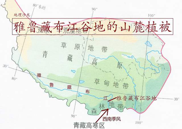 为什么雅鲁藏布江谷地的山麓植被,与同纬度地区有较大差异?