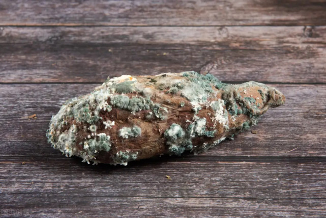 红薯出现这种现象千万别吃,快告诉家人