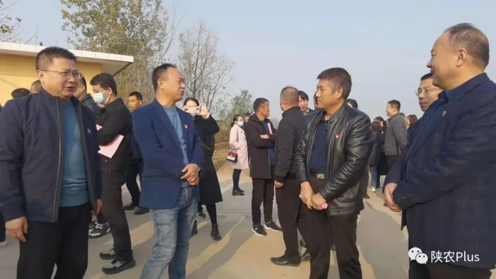 白水 镇村联盟 产业联合 壮大集体经济 腾讯新闻