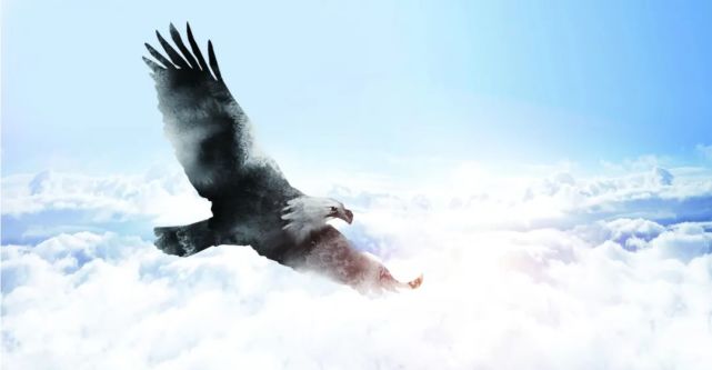 藏在诗词中的典故第五十九期-鲲鹏图南|庄子·逍遥游|鲲鹏图南|鲲鱼