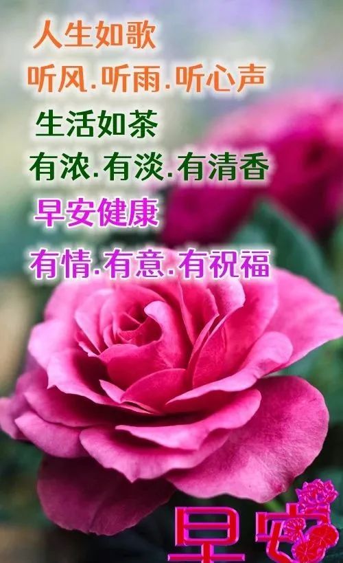 週末老同學早安動態祝福圖片帶字 關心老同學的早上好問候表情